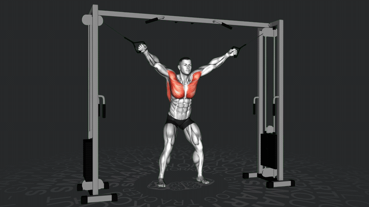 Cruce de Poleas Alto