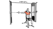Seated Cable Fly