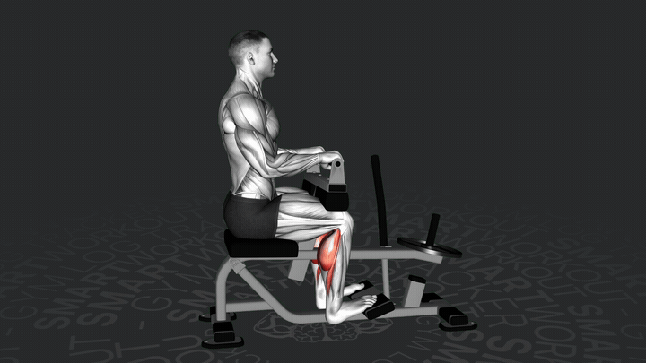 Sollevamento del Polpaccio da Seduto