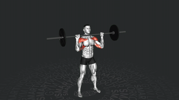 Barbell Overhead Press