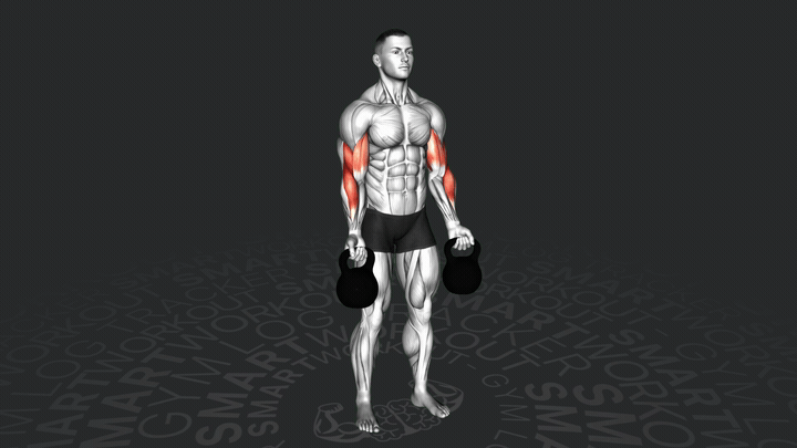 Сгибание рук с гирей на бицепс