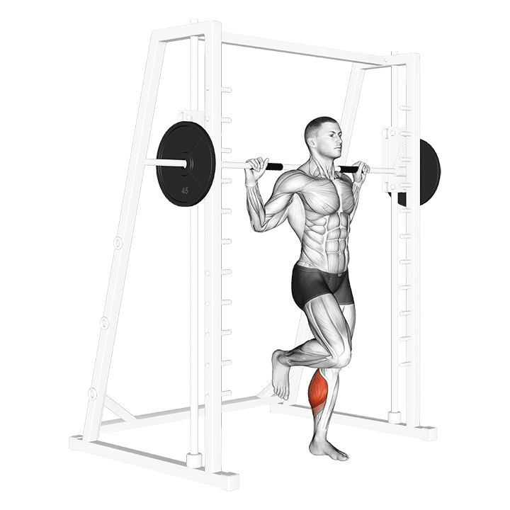 Single Leg Smith Calf Raise