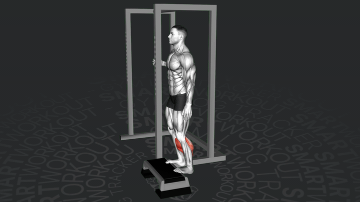 Sollevamento del Polpaccio in Piedi