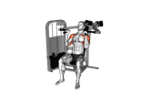 Lever Seated Hammer Grip Shoulder Press