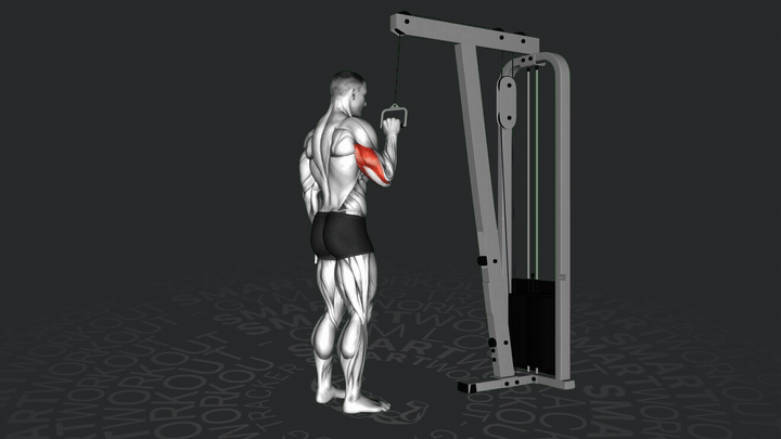 Einarmiges Trizeps-Kabeldrücken