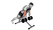 Dumbbell Spider Curl