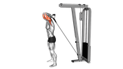 Extension des triceps à la poulie haute
