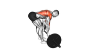 Rowing à la barre en pronation penché