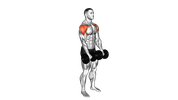 Dumbbell Standing Front Raises