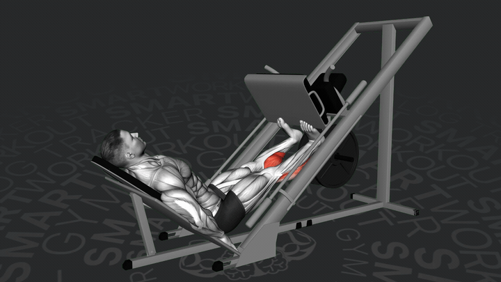 Pressa per i polpacci