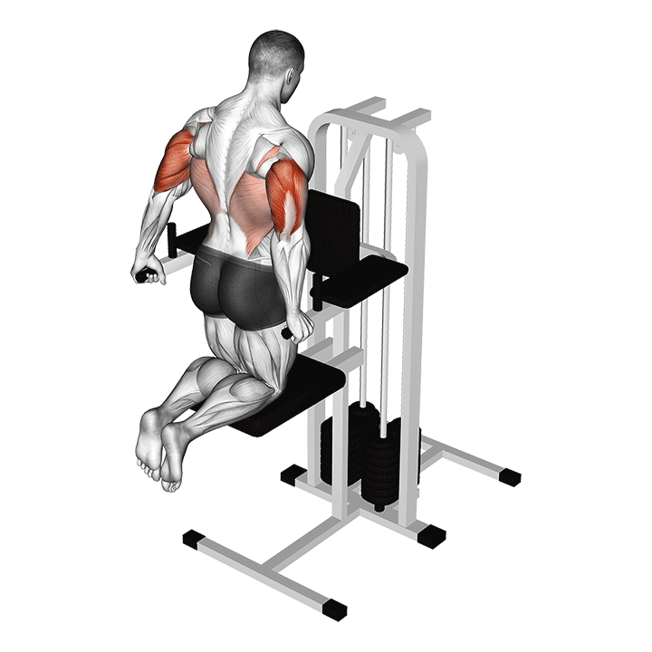 Assisted Machine Dips