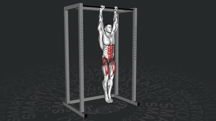 Подъем прямых ног в висе