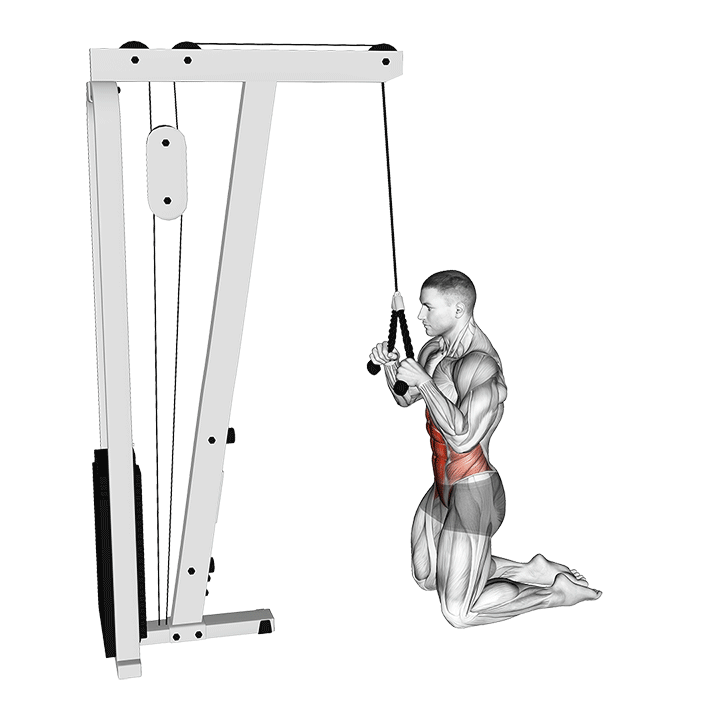 Kneeling Cable Abs Crunches