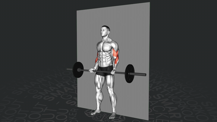 Сгибание рук со штангой у стены