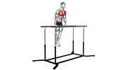Straight Bar Dips