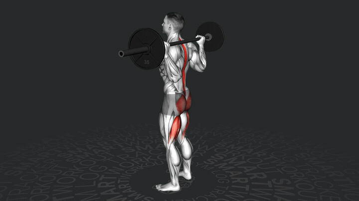 Good Morning con Bilanciere