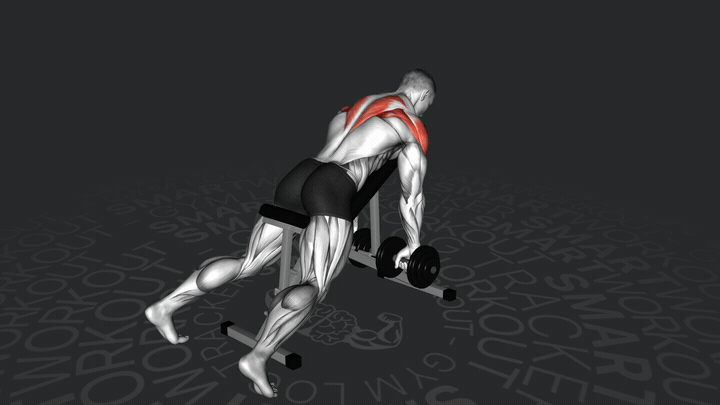 Тяга гантелей в наклоне на наклонной скамье