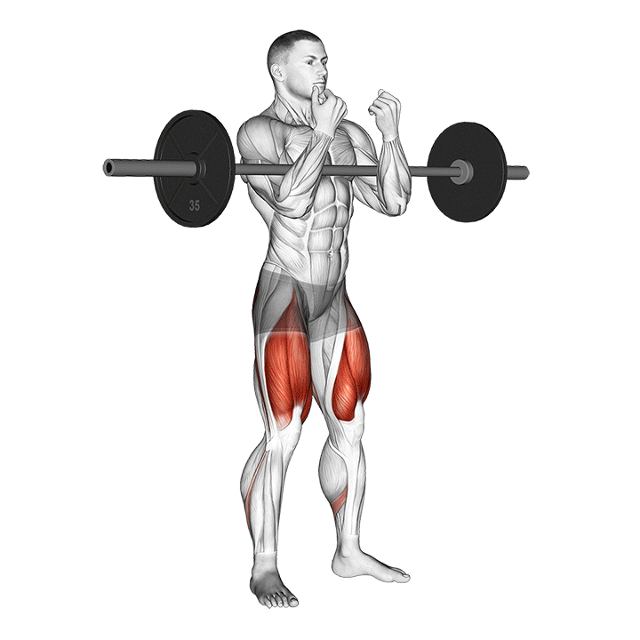 Squat Zercher