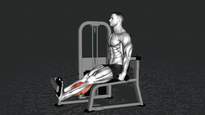 Sollevamento del Polpaccio Rotatorio