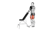 Weighted Sissy Squat