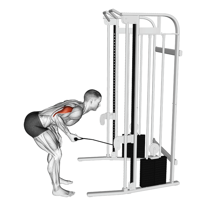 Triceps Cable Kickback