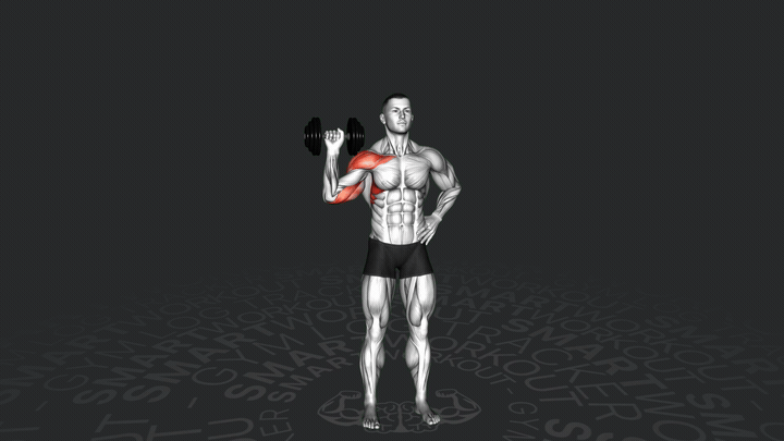 One-Arm Shoulder Press Dumbbell