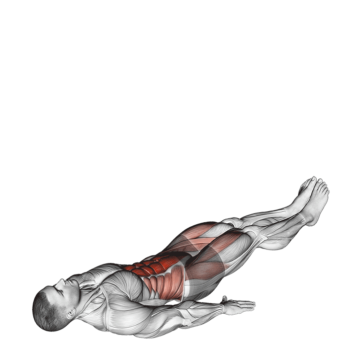 Lying Stright Leg Raise