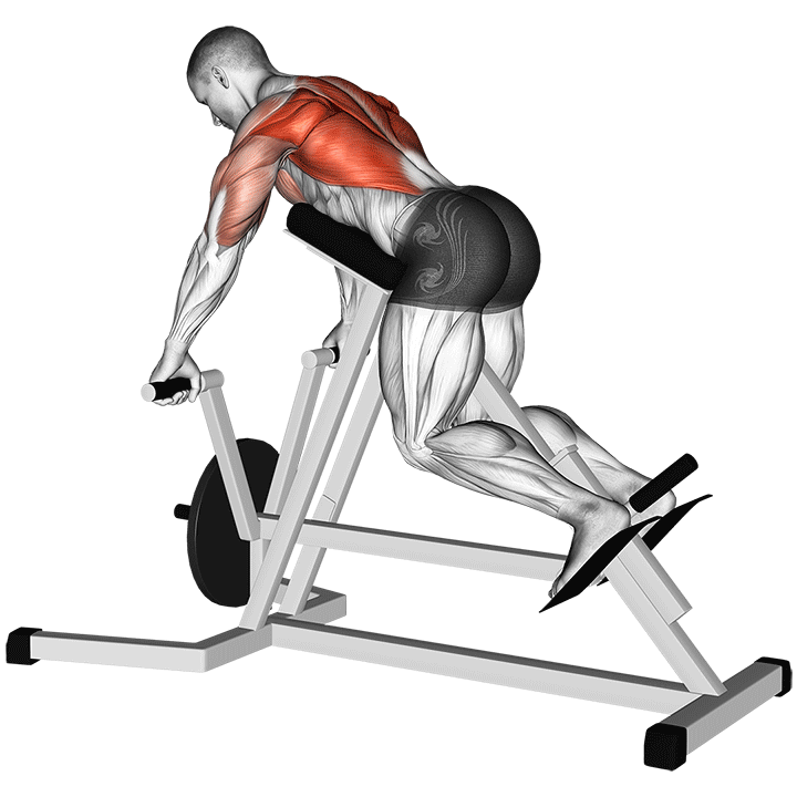 Rowing à la barre en T avec support pour la poitrine