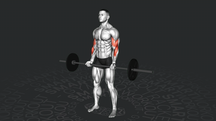 Подъем на бицепс