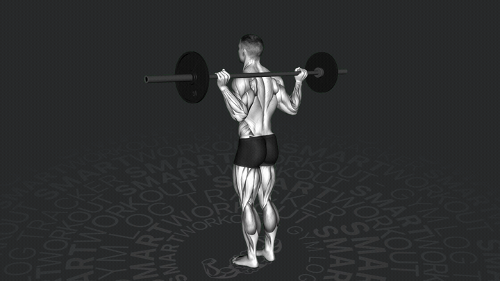 Sollevamento del Polpaccio con Bilanciere