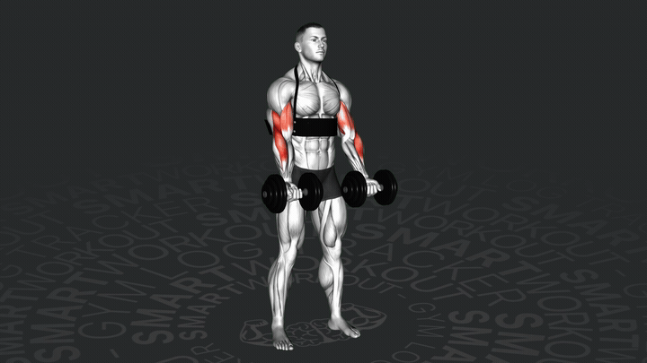 Сгибание рук с гантелями на бицепс с использованием арм-бластера