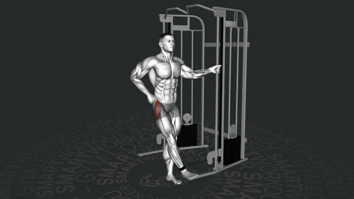 Abduzione dell'anca al cavo