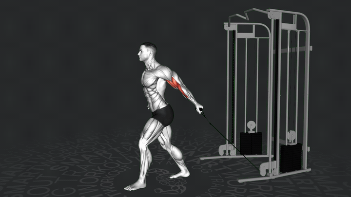 Байесовский подъем на бицепс на кроссовере