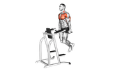 Chest Dips