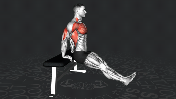 Sitzender Trizeps-Bankdrücken