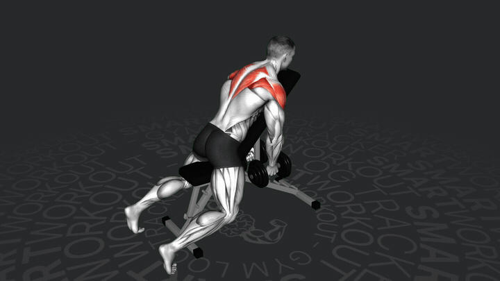 Подъемы гантелей в стороны на наклонной скамье с поддержкой груди