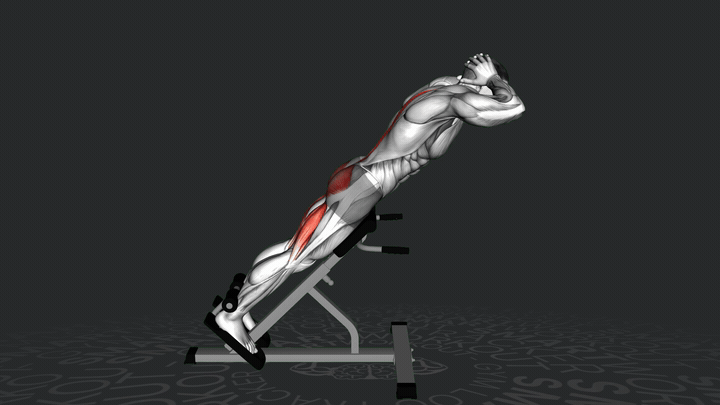 Estensione della Schiena