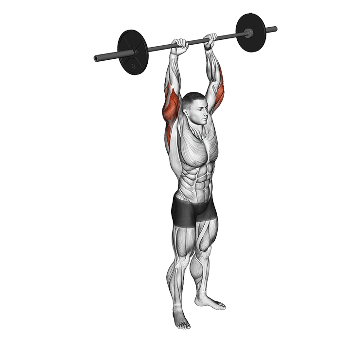 Standing Overhead Barbell Triceps Extension