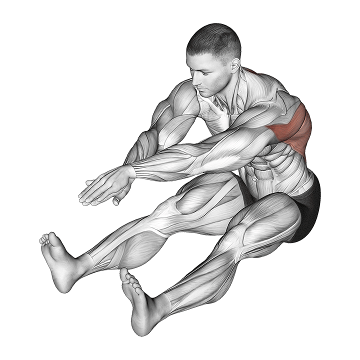 Seated Forward Fold