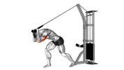 Extension des triceps à la poulie haute