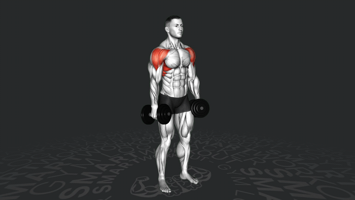 Dumbbell Lateral Raise