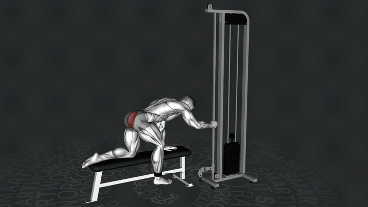 Estensione dell'anca al cavo