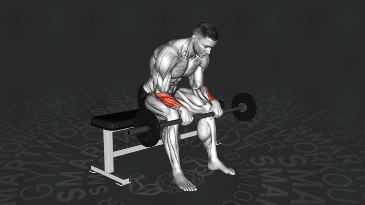 EZ-Stange Sitzender Umgekehrter Handgelenkbeuger