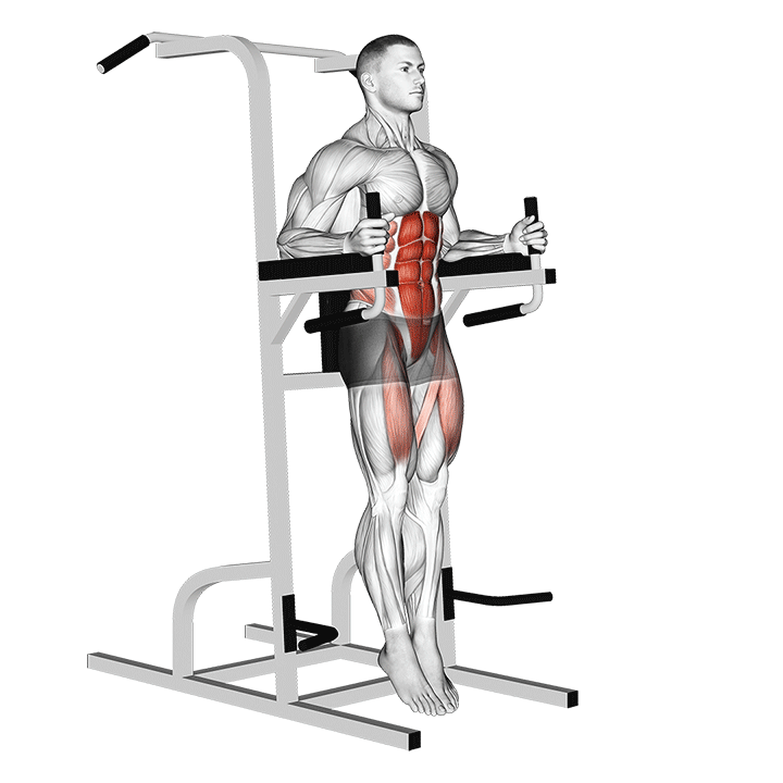 Capitan's Chair Straight Leg Raises