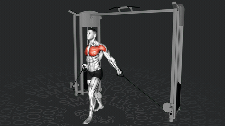 Cruce de Poleas Bajo