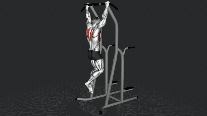 Hängende Skapularetraktionen