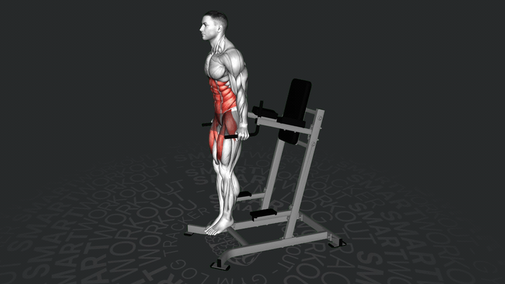 Подъем прямых ног на брусьях