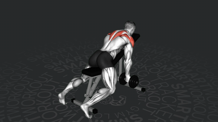 Dumbbell Incline T Raise