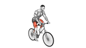 Cyclisme