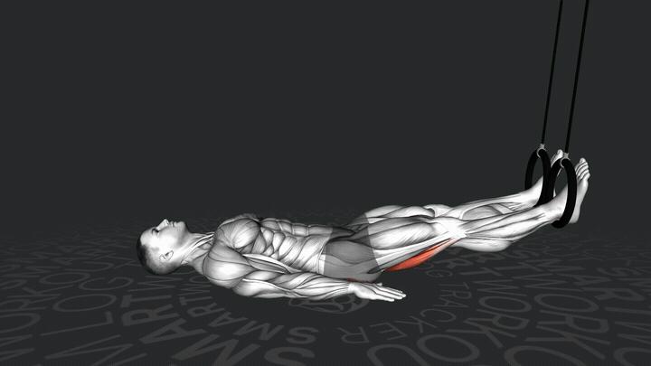 Curling delle gambe con anelli